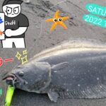 【鹿島灘サーフ】ヒラメを狙いにハイシーズンの鹿島灘へ🎣