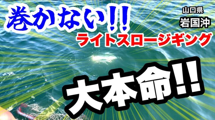 【岩国沖ブレードジギング】ジグを「巻かない」ライトスロージギングの可能性