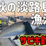 晩秋の淡路島でのんびりサビキ釣り！サイズもアップ！！【淡路島釣り】