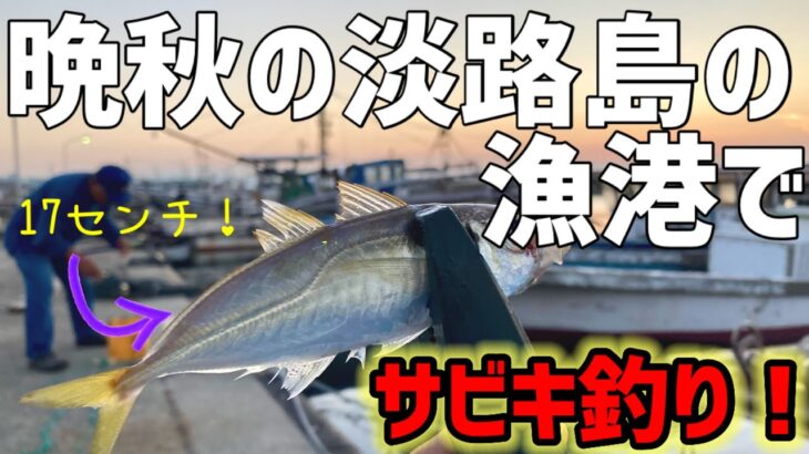 晩秋の淡路島でのんびりサビキ釣り！サイズもアップ！！【淡路島釣り】