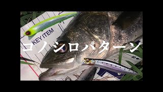 噂の幻のルアーは本当に釣れるのか？【シーバスフィッシング】