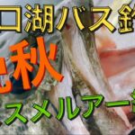 【河口湖バス釣り】秋〜冬に超有効打‼️オススメルアー紹介‼️