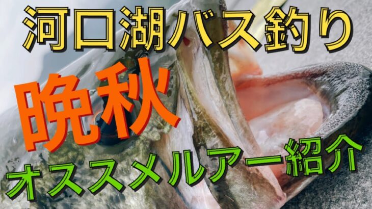 【河口湖バス釣り】秋〜冬に超有効打‼️オススメルアー紹介‼️