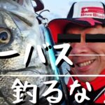 【シーバス】こういう人はシーバス釣るな！！シーバス釣る為にシーバス釣るな！！