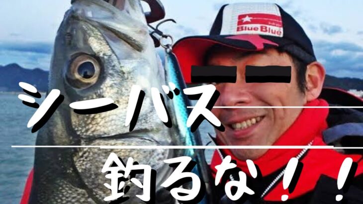 【シーバス】こういう人はシーバス釣るな！！シーバス釣る為にシーバス釣るな！！