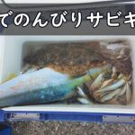 堤防でのんびりサビキ釣り。していたが・・・