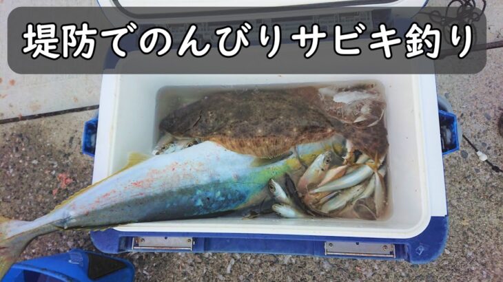 堤防でのんびりサビキ釣り。していたが・・・