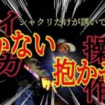 【冬エギング】抱かせるテクニック！神経質な個体にはシャクリだけが誘いではない！その操作法とは…