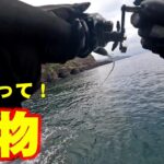 【怪物】隠岐の島ショアジギングで爆釣！チャンネル史上最大モンスターがヒット！