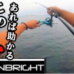 【エギング】晩秋アオリイカが釣れない時の「釣れるエギ」はコレか！