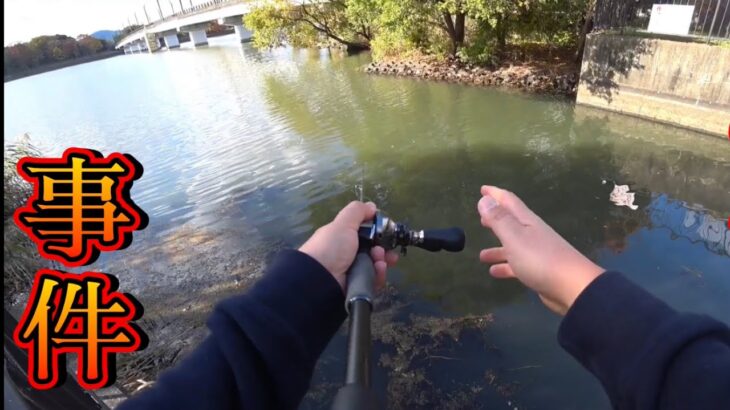 【閲覧注意】琵琶湖の水路でとんでもないのが釣れてしまいました…【琵琶湖バス釣り】