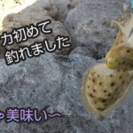 「沖縄釣り」太刀魚と初甲イカ釣れました!