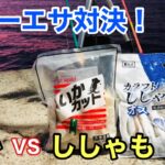 業務スーパーの「イカ」と「ししゃも」で釣り対決したら楽しすぎた…