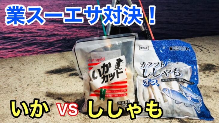 業務スーパーの「イカ」と「ししゃも」で釣り対決したら楽しすぎた…