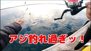 小名浜港一面アジだらけでサビキが爆釣すぎる！　【いわき　釣り】