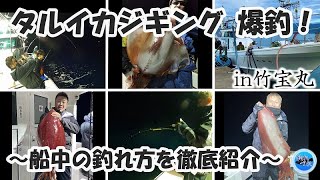 【タルイカジギング】タルイカ爆釣の日！船中の釣れ方徹底紹介！／福井県敦賀沖／竹宝丸