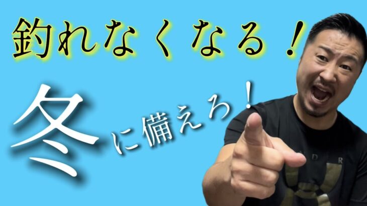 【秋の終盤】釣れなくなります！　シーバス