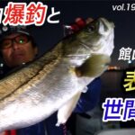 【自撮り釣行】河口で爆釣と館山市からの表彰と世間体と【シーバス】