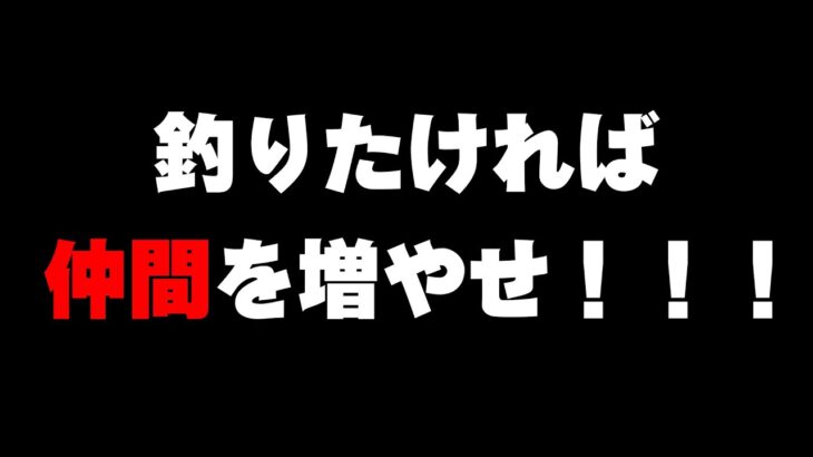 (香川県　シーバス)　釣りは、情報戦だ！！！