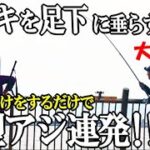 最強のサビキにアレを付けたら刺身サイズの良型アジが足下で連発！そして職人サビキにまさかの過去最大サイズの大物が釣れた！