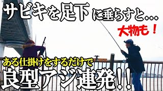 最強のサビキにアレを付けたら刺身サイズの良型アジが足下で連発！そして職人サビキにまさかの過去最大サイズの大物が釣れた！