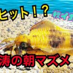 【イカ釣り初心者注目】イカを釣るならこの時を待て！！堤防エギング編♯２　＃初心者＃エギング＃堤防