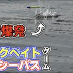 東京湾シーバスで話題のビッグベイトが面白い！