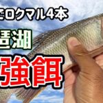 【バス釣り】琵琶湖最強の生き餌でロクマルのマンション狙い撃ち！「ブラックバス」「餌釣り」「水槽」