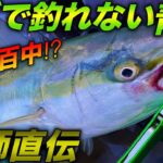 【反則級】ジギングで釣れない時の必釣法　百発百中⁉︎