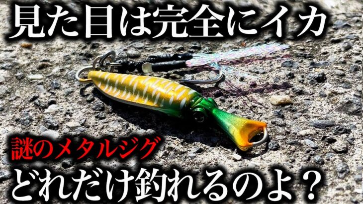 イカ型メタルジグをショアジギングで実釣力検証。独特な動きに魚はどう反応するの？