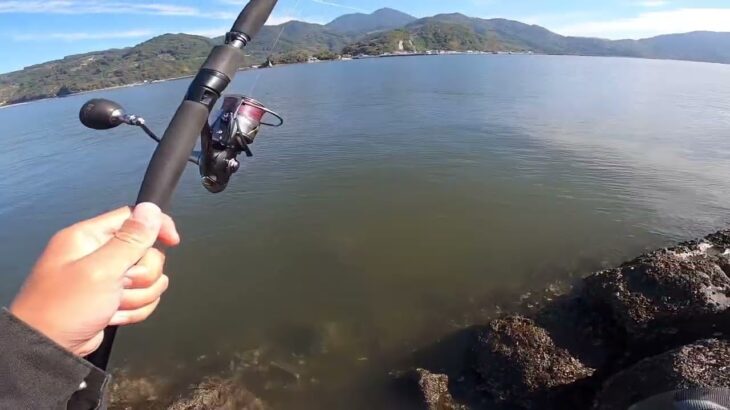 スピニングで秋のシーバス釣り