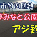 サビキ釣りでアジ＠境港市竹内団地「夢みなと公園」