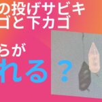 アジ釣りの投げサビキ釣りは上カゴと下カゴ、どっちか釣れる？