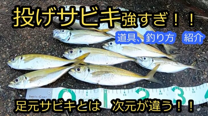 遠投 投げサビキ　足元サビキとは、サイズ感、次元が違う！！　釣り方、道具紹介