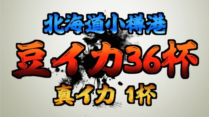 「神頼み」を経ての「豆イカ釣行」【北海道】【小樽港】