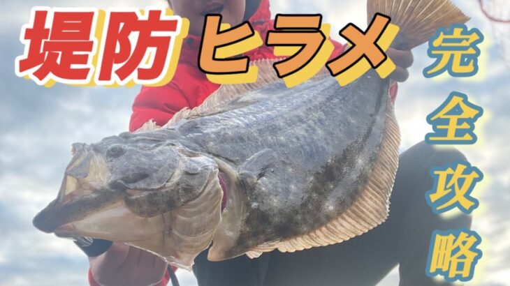 【初心者必見】朝マヅメの堤防でヒラメ連発！このルアーおすすめです、ぜひ堤防やサーフでお試し下さい　　#堤防釣り #ヒラメ #釣り方