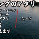 イカのアタリの取り方！エギングでアタリが分からない方必見！プロから学ぶエギング講座