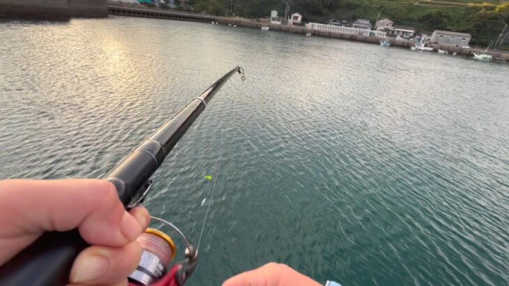 【遠投サビキ釣り】簡単!仕掛けにひと工夫するだけで釣果アップ!!!【秋の釣り】