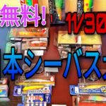 シーバス大会開催中！参加無料!