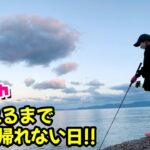 どうしても釣りたくて、本気で アオリイカ を狙ってみた!!【エギング＆ヤエン】