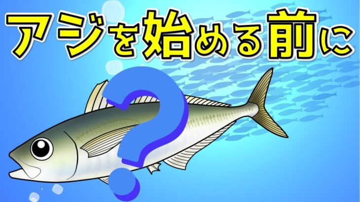 【アジングの釣り方】アジとはどんな魚？