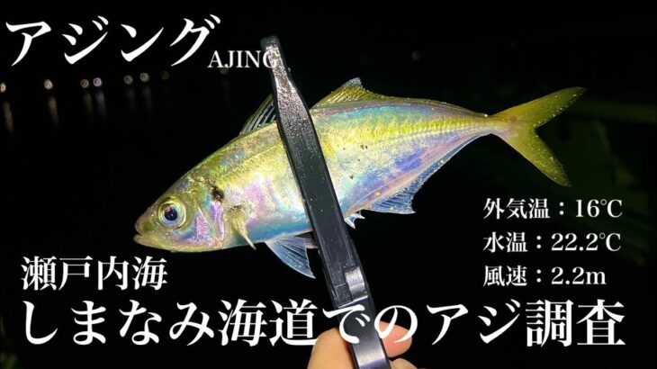 【アジング】しまなみ海道でアジング。釣れる場所を調査してみた。