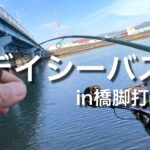 橋脚打ちはただ巻きだけじゃ釣れなかった【シーバス】