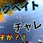 【バス釣り】俺は天才か？！ジョイクロアタックリグ！　ビッグベイトチャレンジ 　@プチ鳶