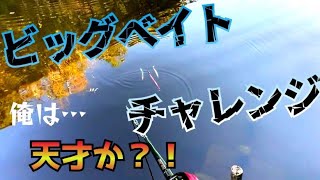 【バス釣り】俺は天才か？！ジョイクロアタックリグ！　ビッグベイトチャレンジ 　@プチ鳶