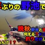 【バス釣り】半年ぶりにバス釣った男のリアクションが◯◯◯すぎた！