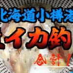 昼は鯖釣り、夜は定番の豆イカ釣り【北海道】【小樽港】