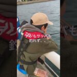 北九州　日明海峡釣り公園　サビキ釣り　アジもサッパも釣れない時に釣れる魚は