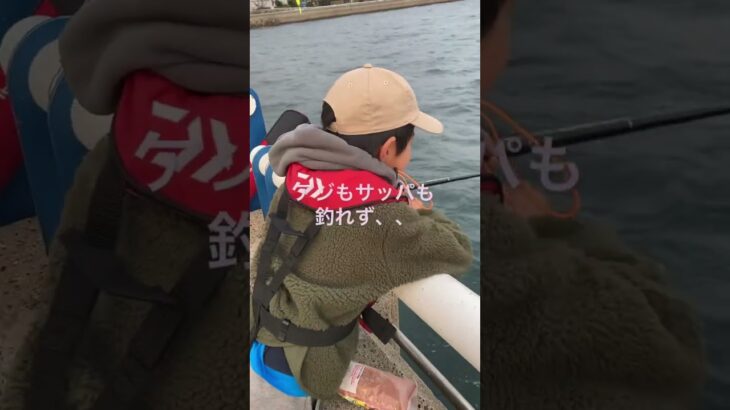 北九州　日明海峡釣り公園　サビキ釣り　アジもサッパも釣れない時に釣れる魚は