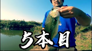 【バス釣り】たまにはのんびりバス釣り！まだ釣れる秋の利根川【茨城バス釣り】